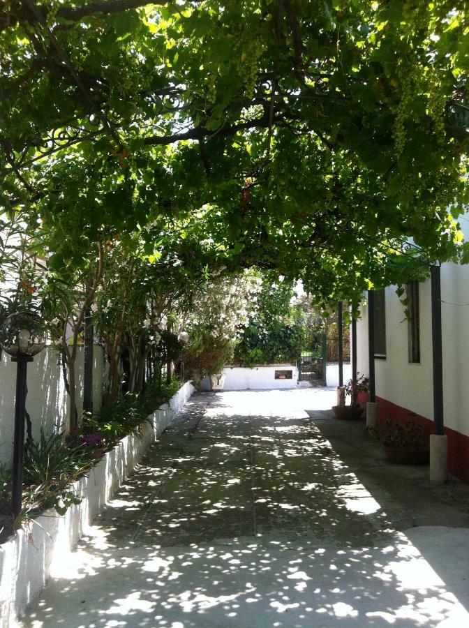 Casa Vacanze Paestum - Cilento Luaran gambar